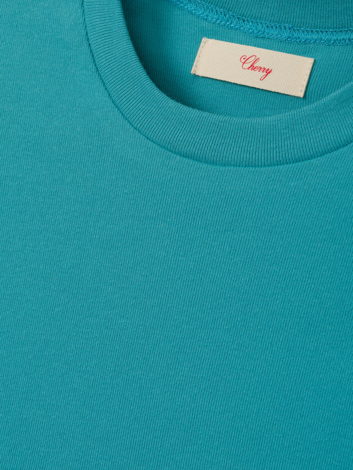 Women's Ribbed Fitted Tee (Turquoise)