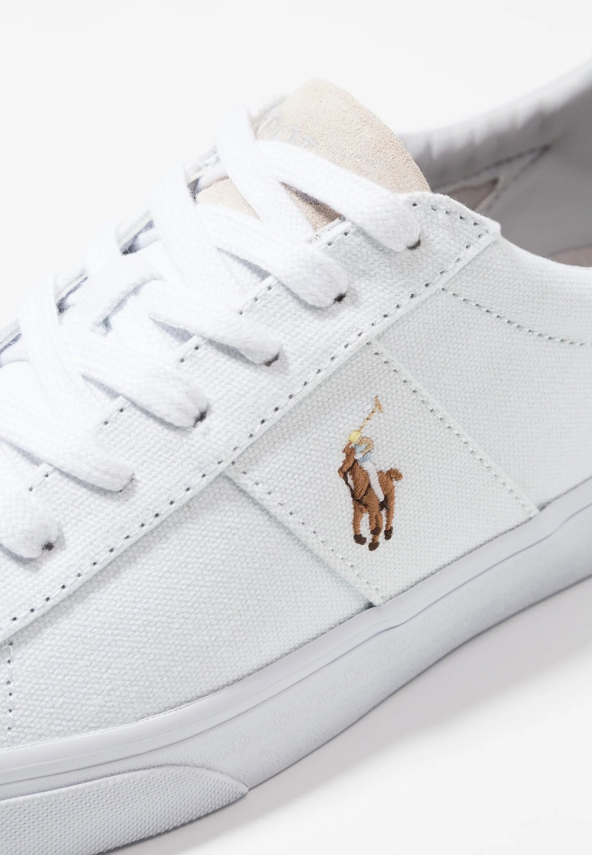 Polo Ralph Lauren SAYER CANVAS SNEAKER - Sneakers basse