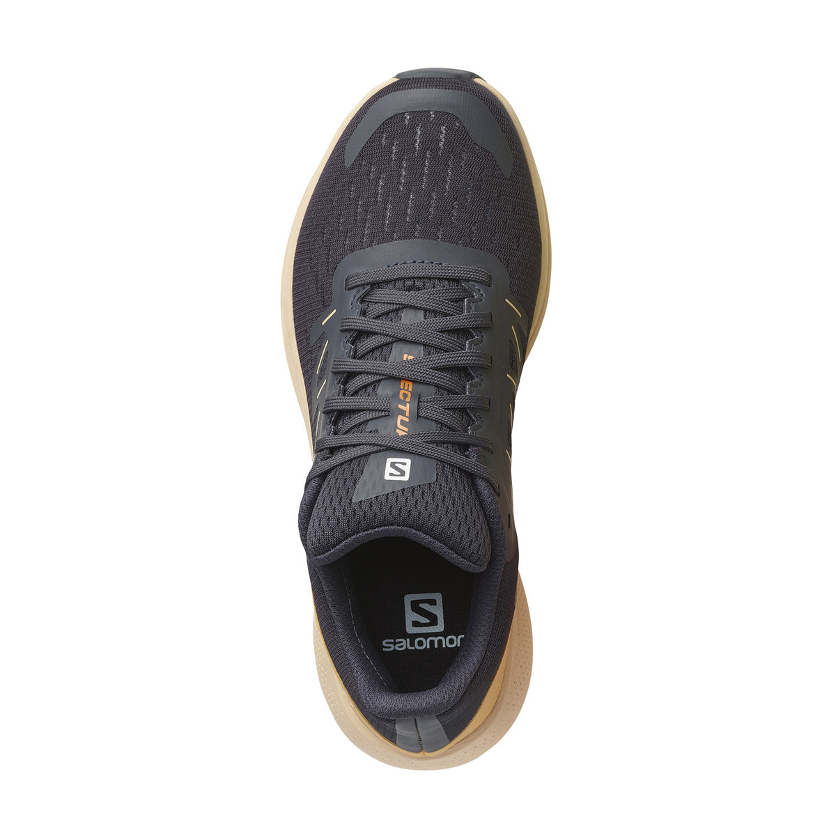 Salomon Spectur Ebony/Almond Cream/Leek Green