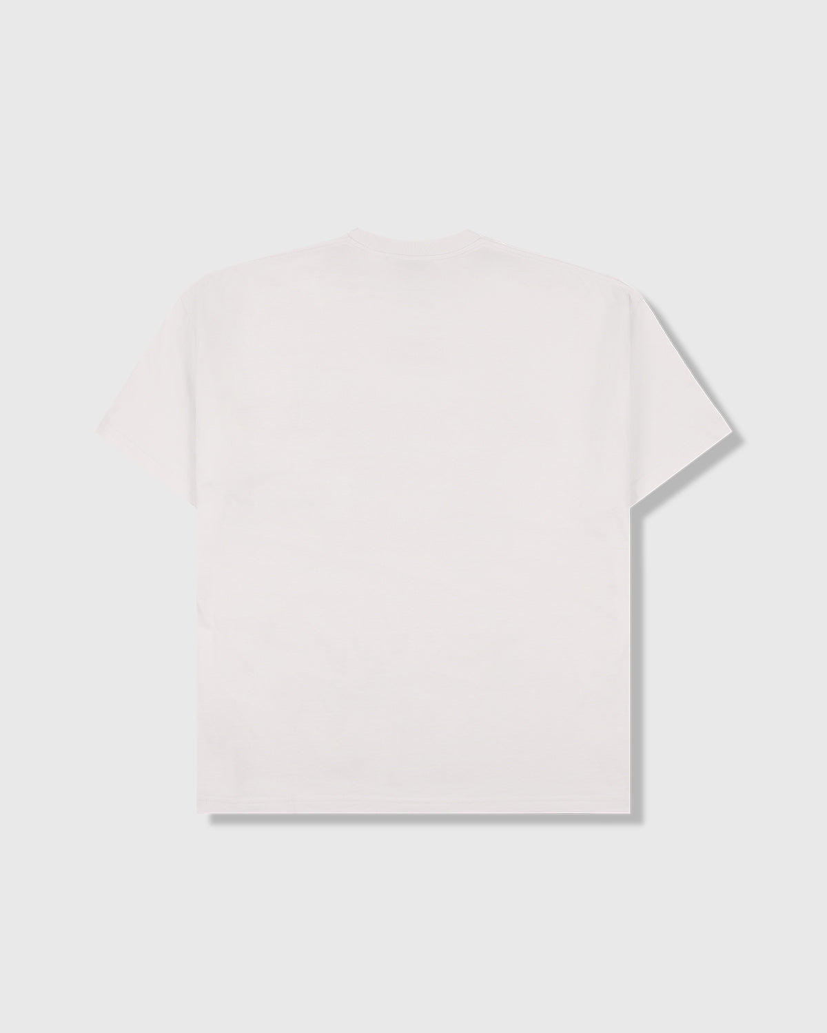 NORDIQUE T-SHIRT