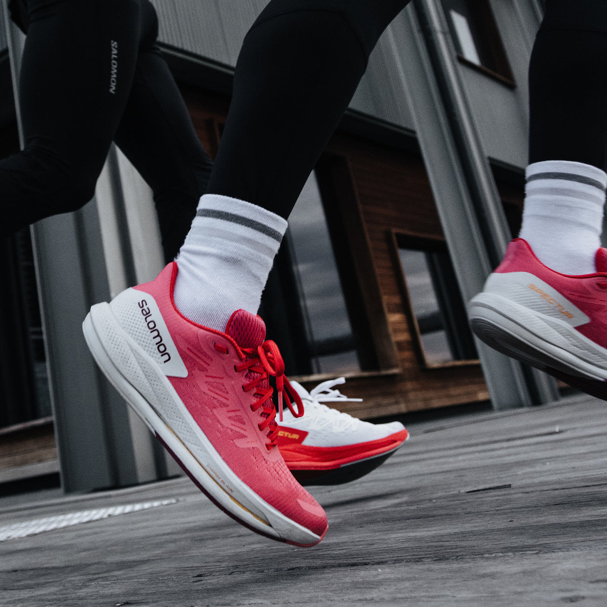 Salomon Spectur Tea Rose/Lunar Rock/Poppy Red