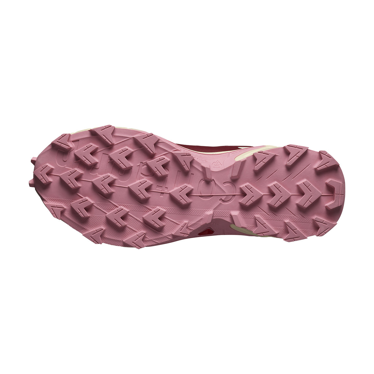 Salomon Supercross 4 GTX Cow Hide/Syrah/Blush