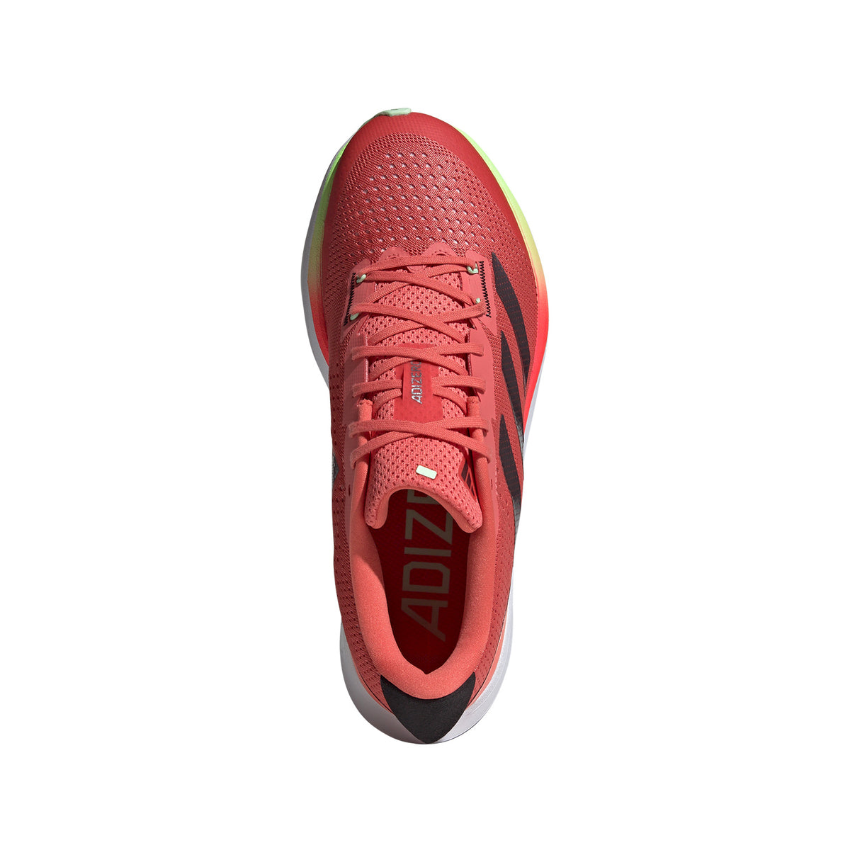 adidas adizero SL Preloved Scarlet/Aurora Met/Solar Red