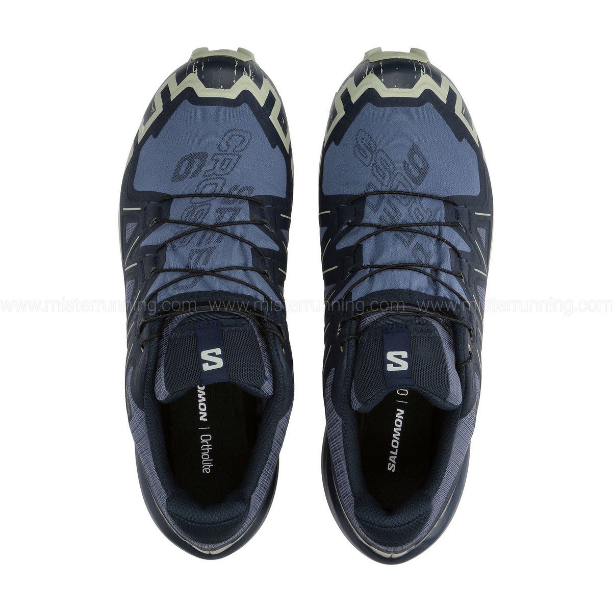 Salomon Speedcross 6 GTX Grisaille/Carbon/Tea