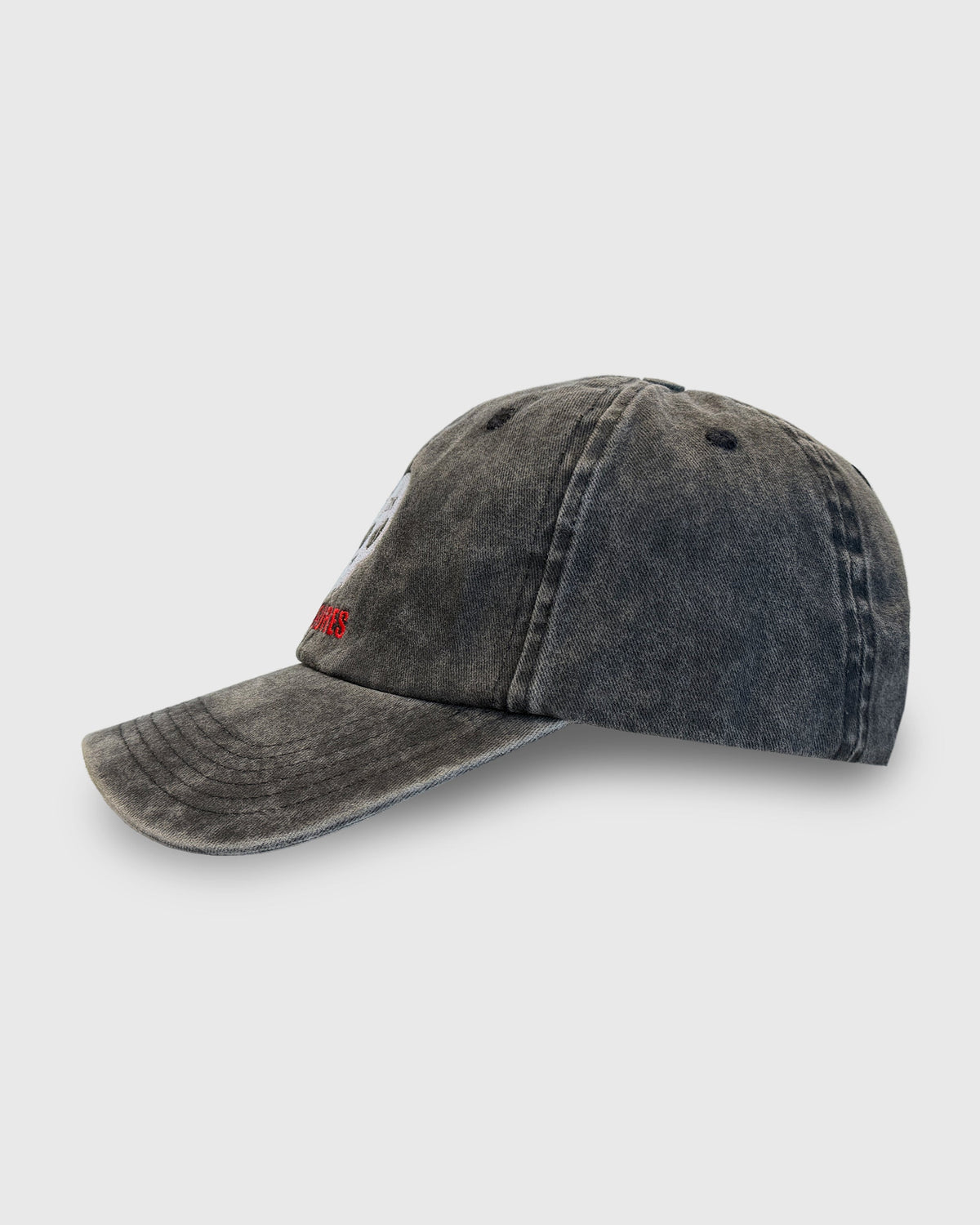 SKULL DAD CAP