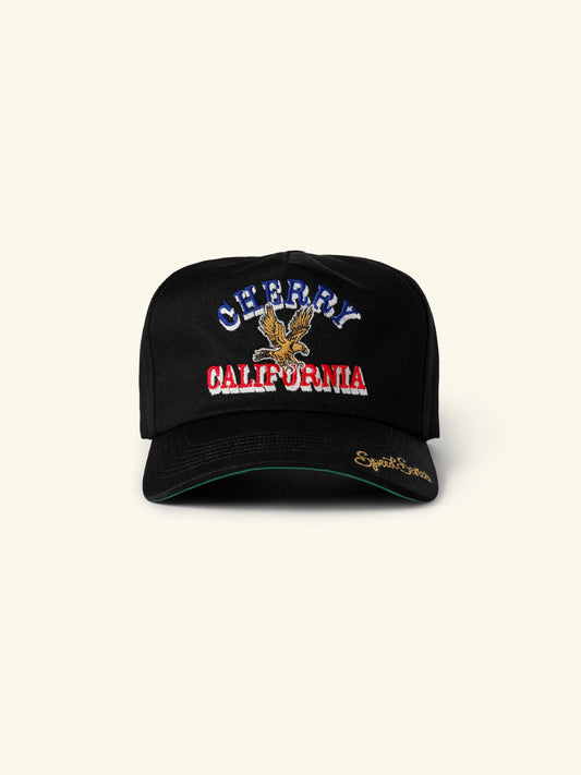 Speed Series 5 Panel Hat